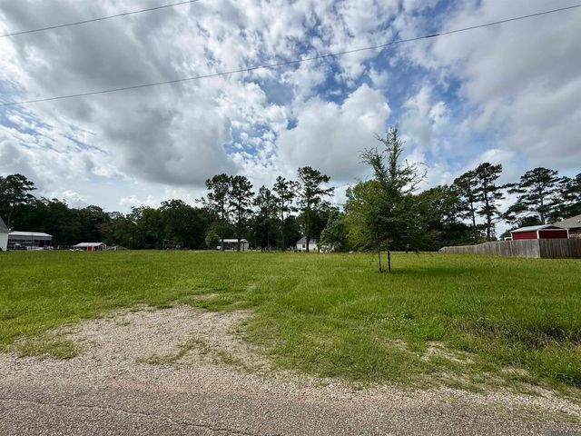 44077 Lebeau Rd, St Amant, LA 70774