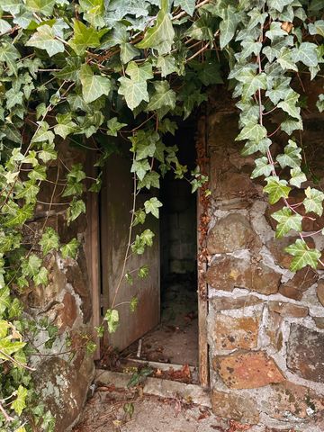 410 Pine Acres, Higden, AR 72067