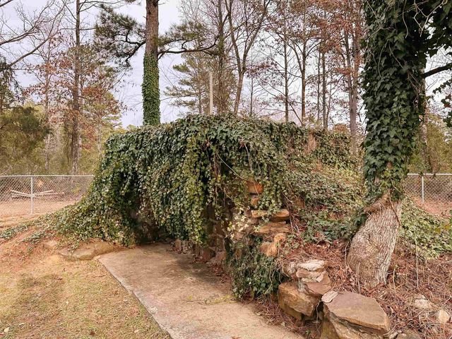 410 Pine Acres, Higden, AR 72067