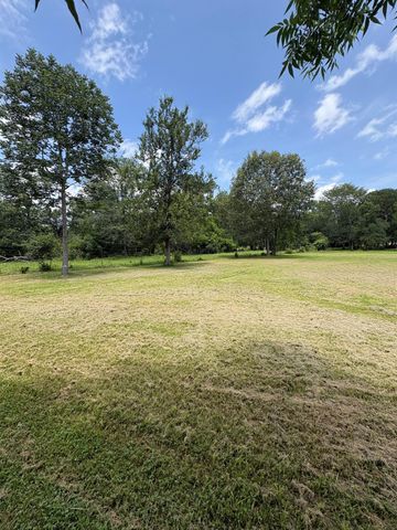 1147 Baja Street, Montgomery, TX 77356