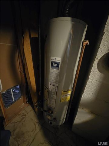 10151 Isabelle Place, St Ann, MO 63074