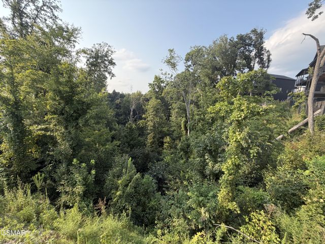 145 Reedmont Way, Sevierville, TN 37876