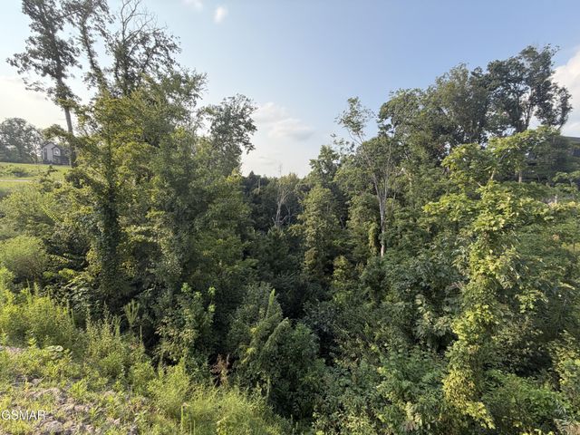 145 Reedmont Way, Sevierville, TN 37876