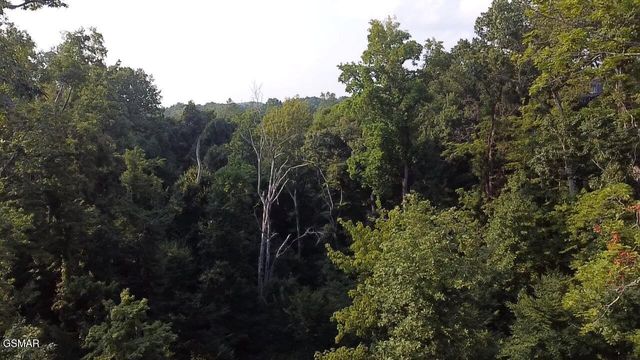 145 Reedmont Way, Sevierville, TN 37876