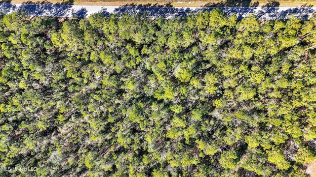 Saracennia Point, Moss Point, MS 39562