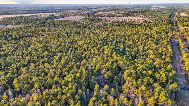 Saracennia Point, Moss Point, MS 39562