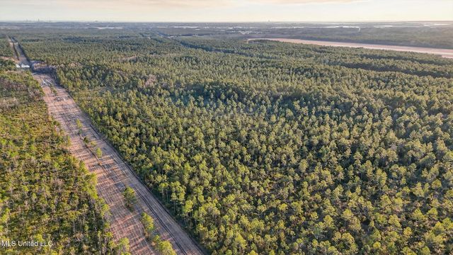 Saracennia Point, Moss Point, MS 39562