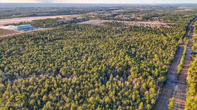 Saracennia Point, Moss Point, MS 39562