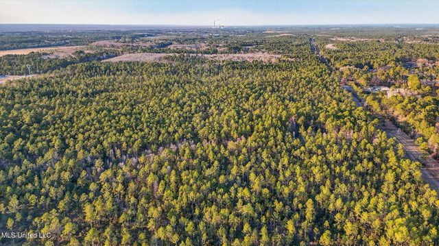 Saracennia Point, Moss Point, MS 39562