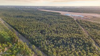 Saracennia Point, Moss Point, MS 39562