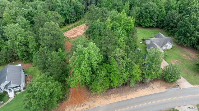 1 Brant Ward Rd, Cottondale, AL 35453