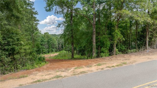 1 Brant Ward Rd, Cottondale, AL 35453