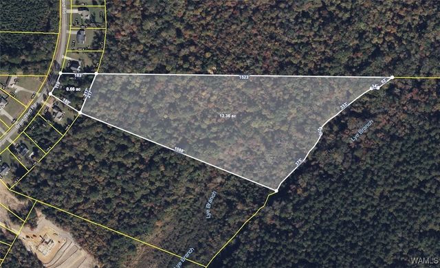 1 Brant Ward Rd, Cottondale, AL 35453