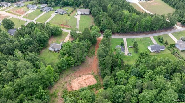 1 Brant Ward Rd, Cottondale, AL 35453
