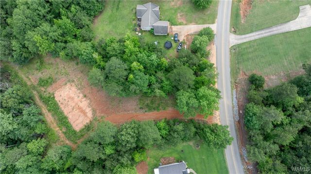 1 Brant Ward Rd, Cottondale, AL 35453