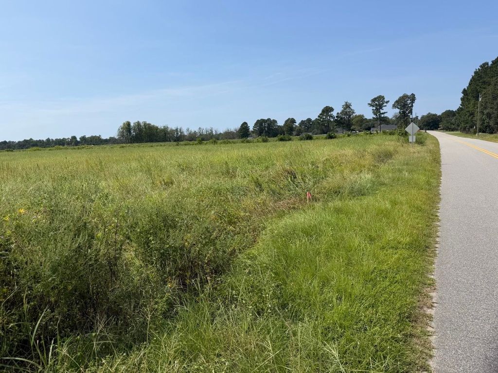 TBD B and S Rd., Loris, SC 29569 — photo 3