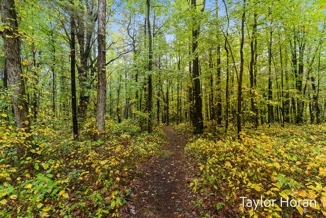 3120 Dalson Road, Twin Lake, MI 49457