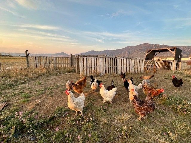 5941 Porter Avenue, Butte, MT 59701