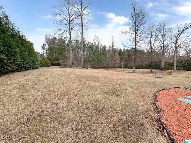 101 THATCHER ROAD, Vincent, AL 35178