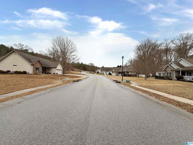 101 THATCHER ROAD, Vincent, AL 35178