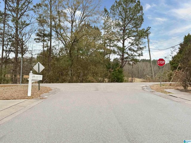 101 THATCHER ROAD, Vincent, AL 35178