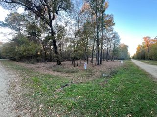 0 Mossy Drive, Livingston, TX 77351