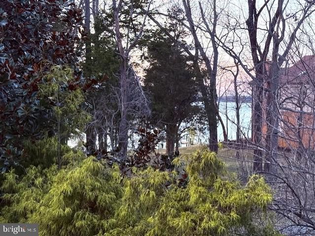 11625 BACHELORS HOPE CT, Issue, MD 20645