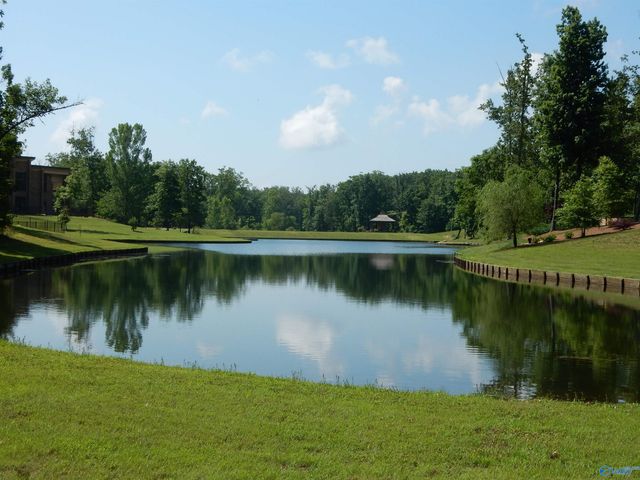 15 Winter Walk Way, Huntsville, AL 35803