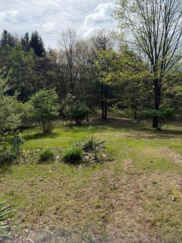 6572 Cottonwood Avenue, Big Rapids, MI 49307