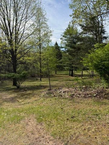 6572 Cottonwood Avenue, Big Rapids, MI 49307