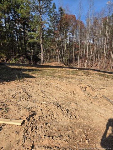 307 One Tree Hill, Sanford, NC 27330