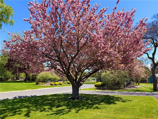 259 Lasalle Dr Drive, Webster, NY 14580