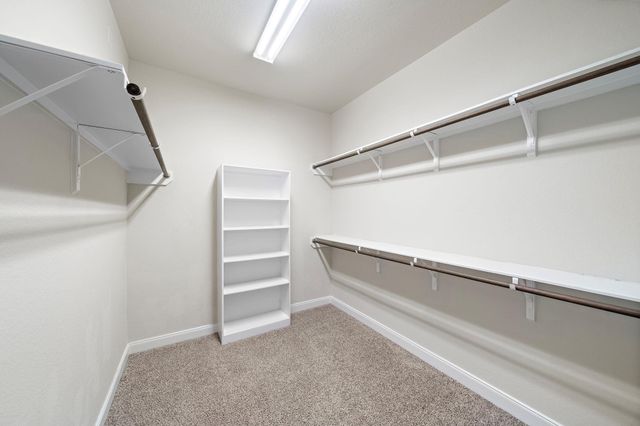 4923 Windy Poplar Trl Trail, Rosenberg, TX 77471