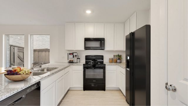 205 Adelina Drive, Little Elm, TX 75068