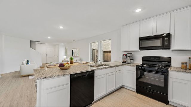 205 Adelina Drive, Little Elm, TX 75068