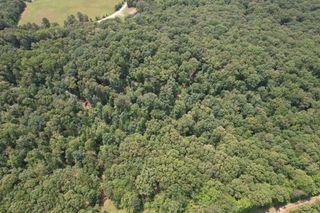 0 Webb Rd Ext, Summertown, TN 38483