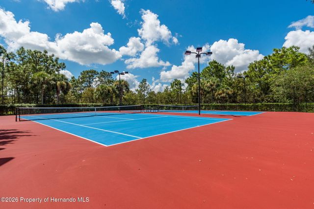 4403 Copper Hill Drive, Spring Hill, FL 34609