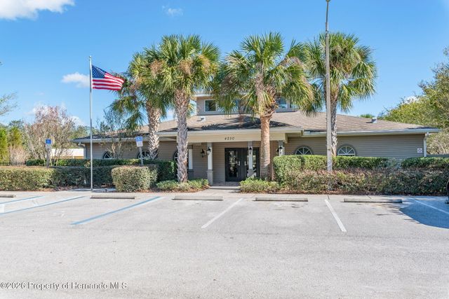 4403 Copper Hill Drive, Spring Hill, FL 34609