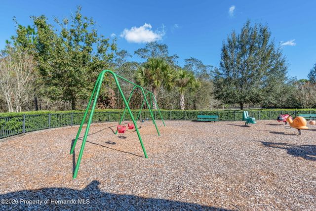 4403 Copper Hill Drive, Spring Hill, FL 34609