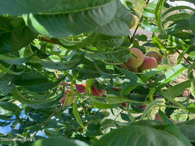 354 Buena Vista Rd, Bonners Ferry, ID 83805