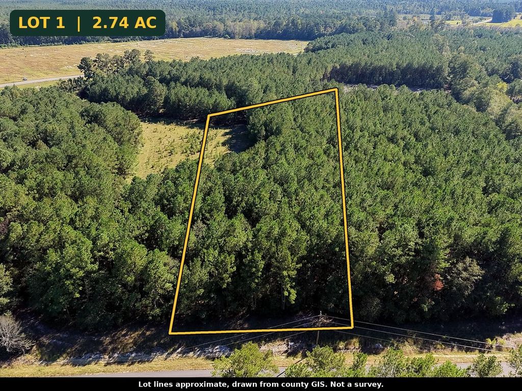 TBD Tranquil Rd., Nichols, SC 29581 — exterior