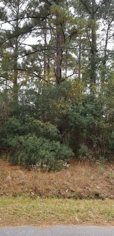 0 Rearden Avenue, Walterboro, SC 29488