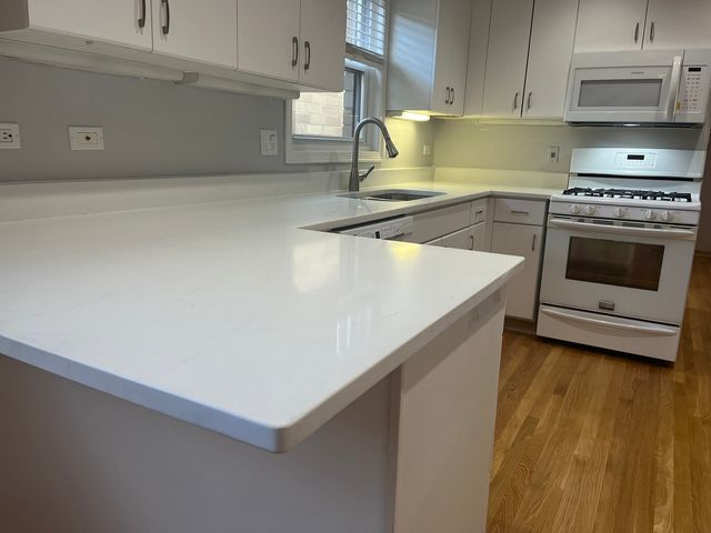 449 W 37th Street 2, Chicago, IL 60609