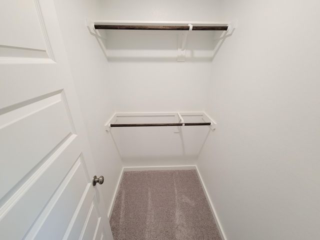 2905 Terrace Grove Drive, Conroe, TX 77304