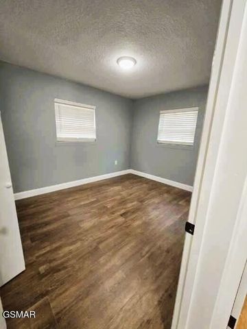 202 Spring Valley Road, Pigeon Forge, TN 37863