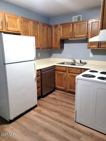 202 Spring Valley Road, Pigeon Forge, TN 37863