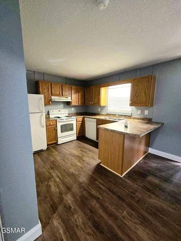 202 Spring Valley Road, Pigeon Forge, TN 37863