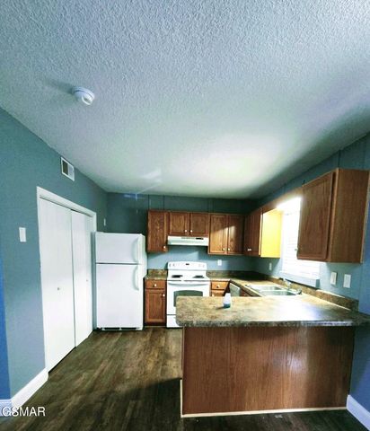 202 Spring Valley Road, Pigeon Forge, TN 37863