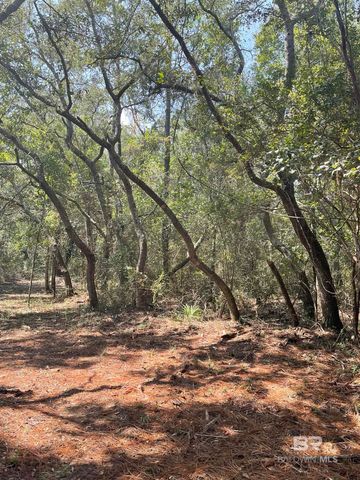 9847 S County Road 99, Lillian, AL 36549