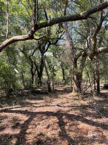 9847 S County Road 99, Lillian, AL 36549